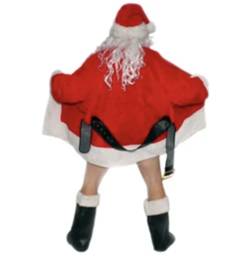 Man Arrested for Dressing as Santa, Peeking in Windows